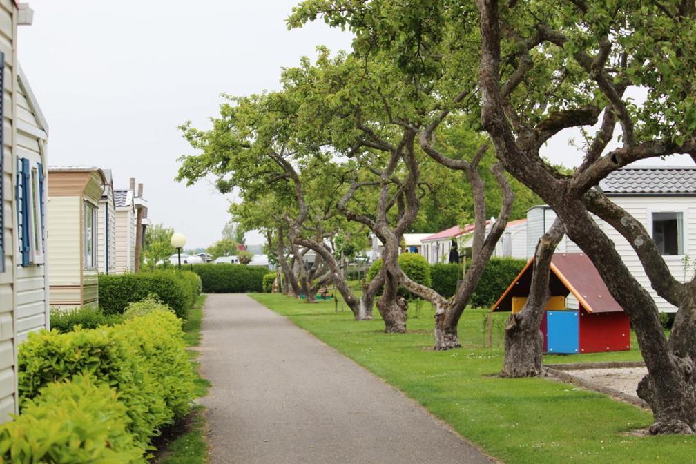 Siblu Camping In De Bongerd Oostkapelle Exteriör bild